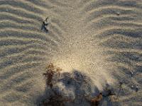 Fächermuster am Strand bei Sandnes - Lofoten